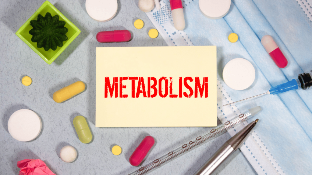 Metabolism How It Affects Your Health and Fitness