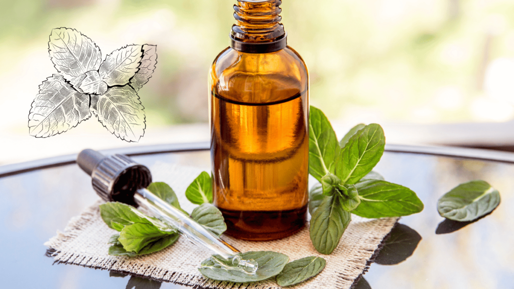 peppermint oil and ginger is another natural option