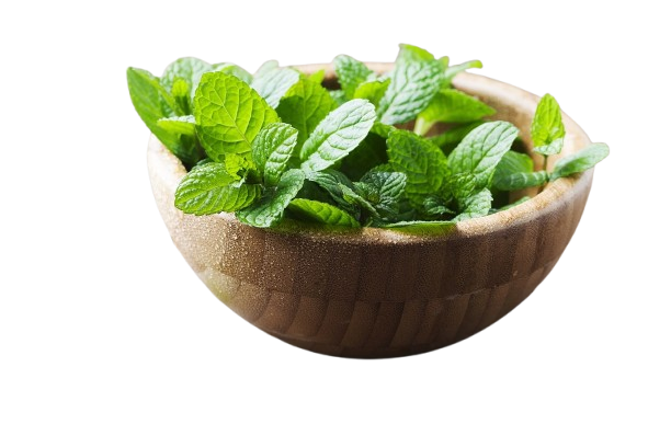 mint removebg preview